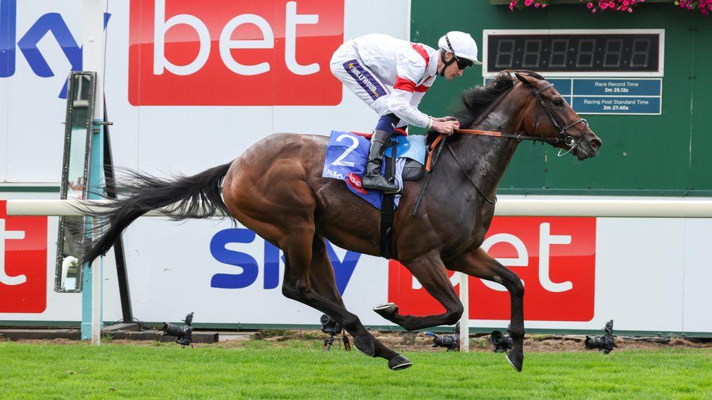 Deauville Legend: drawn stall nine in the Melbourne Cup