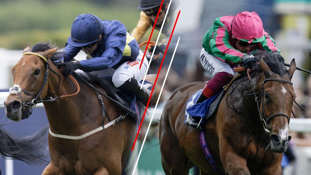 Jumbly (left) has course-and-distance winning form but faces a stern challenger in Group 1 winner Prosperous Voyage (right)