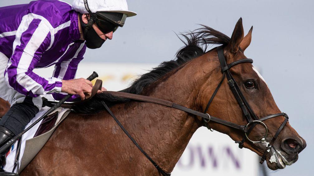 Magical: could she become the first horse in Ballydoyle history to win eight Group 1 races?