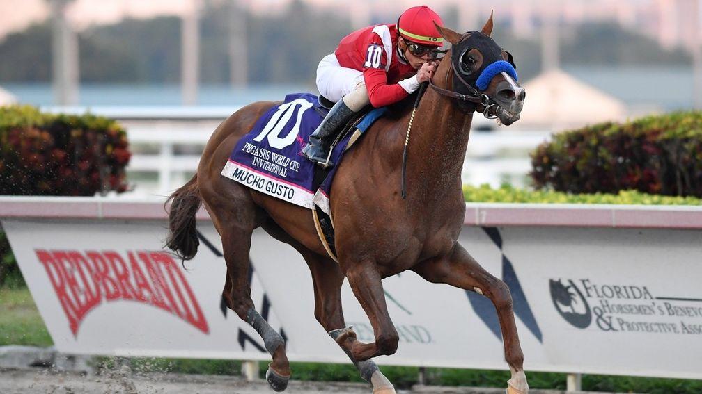 Mucho Gusto, pictured romping away with the Pegasus World Cup, could put Giant's Causeway on target for another North America broodmare sire title