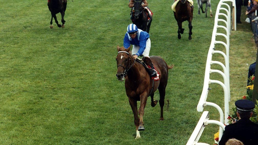 Nashwan and Willie Carson winning the Derby June 1989 at Epsom