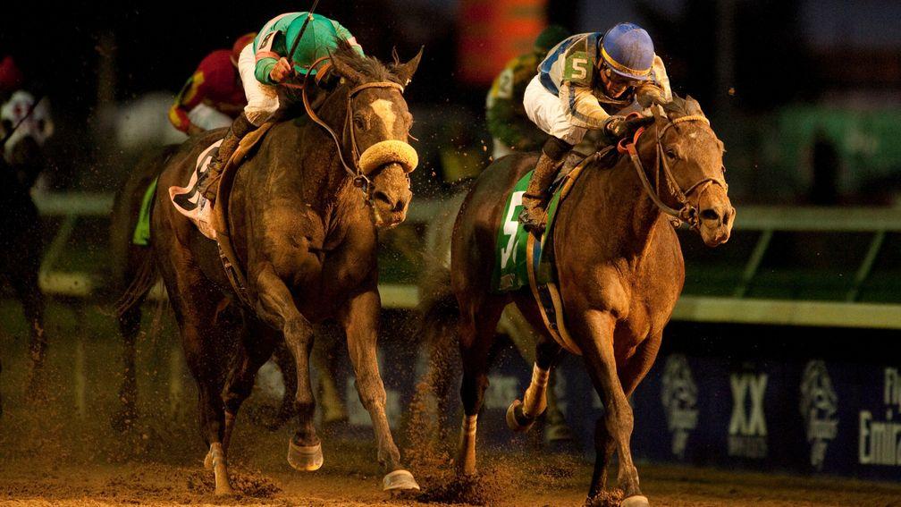 Blame (right) became the only horse ever to beat Zenyatta in the 2010 Breeders' Cup Classic
