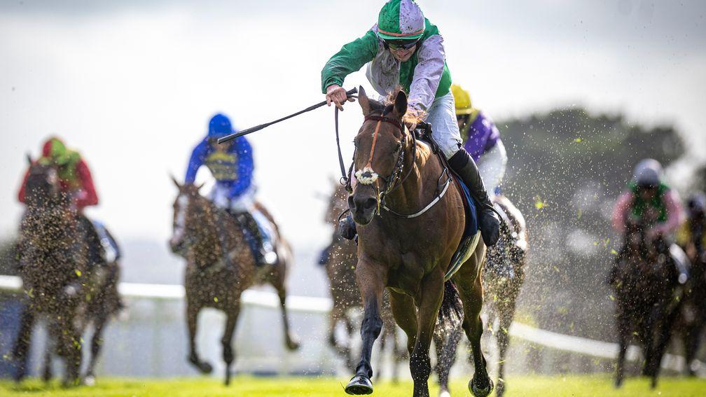 Teed Up: lands the Connacht Hotel (Q.R.) Handicap at the Galway festival under Ray Barron