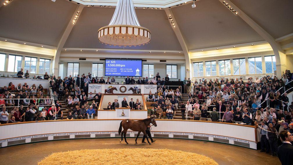 The Dubawi brother to Too Darn Hot tops last year's Book 1 at 3,500,000gns