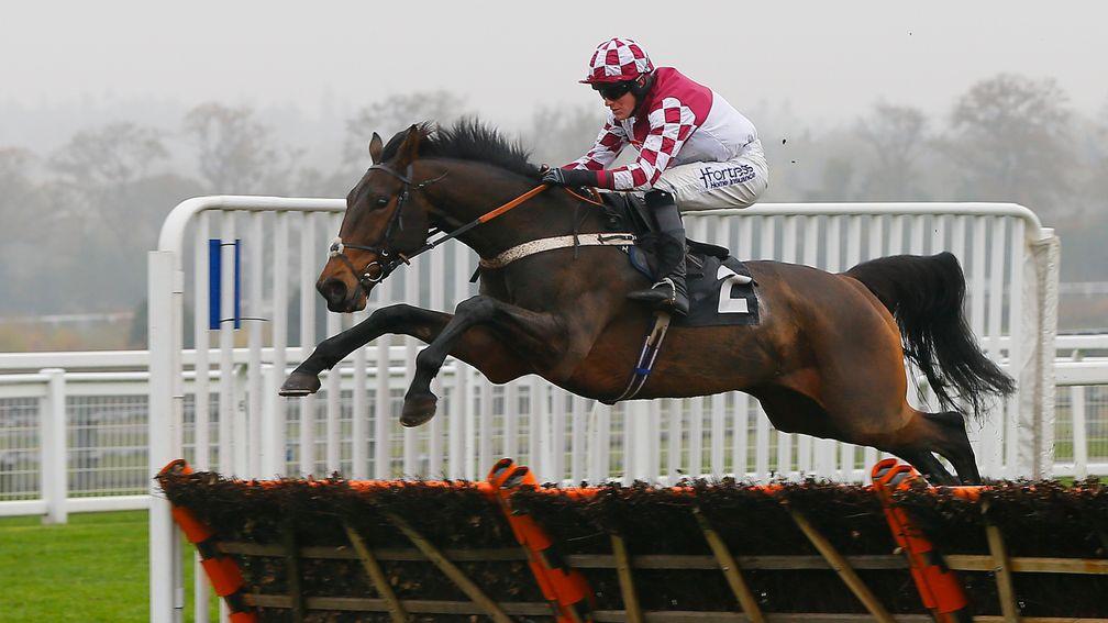 Jolly's Cracked It: winning the Introductory Hurdle on Friday's Ascot card four years ago