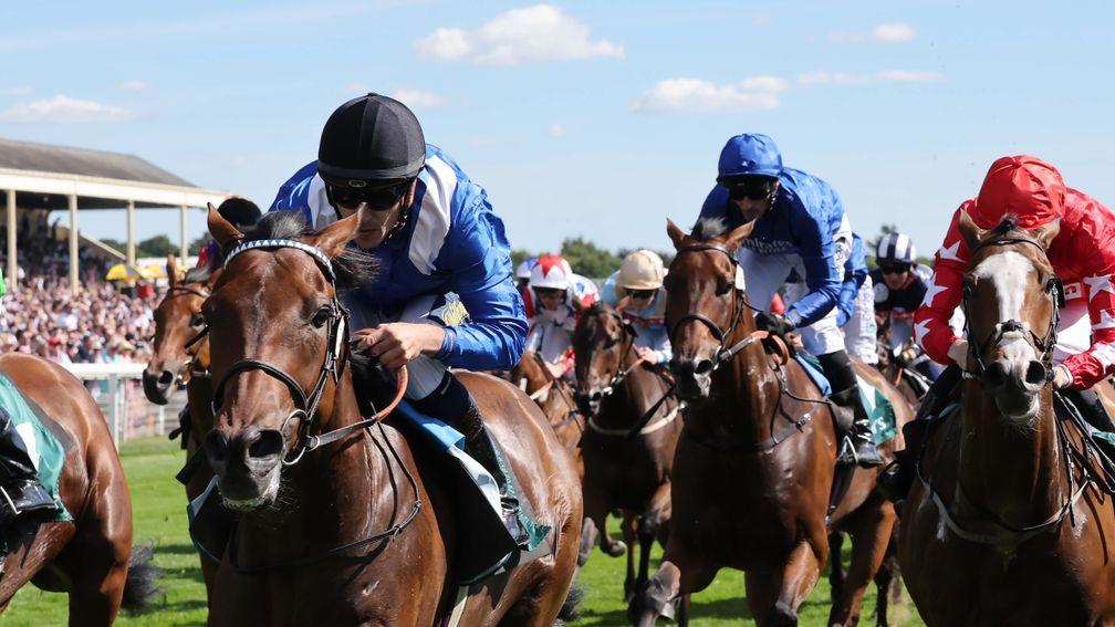 Brilliant Light (second right) chases home Anmaat in the John Smith's Cup at York