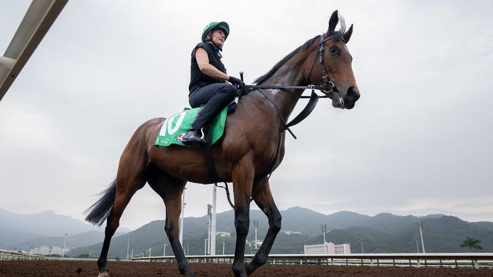 Warm Heart walks off the all-weather track after exercise at Sha Tin