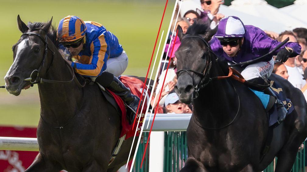 Auguste Rodin (left) and King Of Steel: big guns face off in the Irish Champion Stakes at Leopardstown