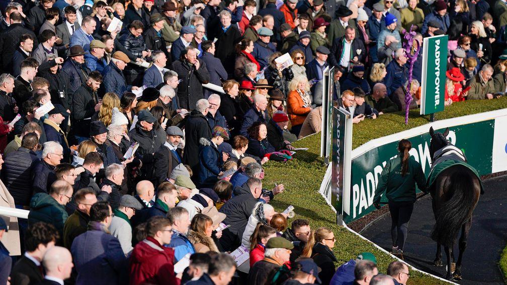 A large crowd around the parade ring at Leopardstown 