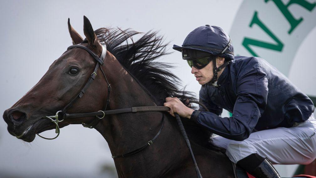 Mythical puts his Derby aspirations on the line at the Curragh on Friday