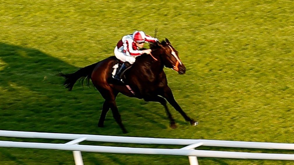 Pretty Bubbles and Freddy Tylicki on the way to success at Newbury in July last year