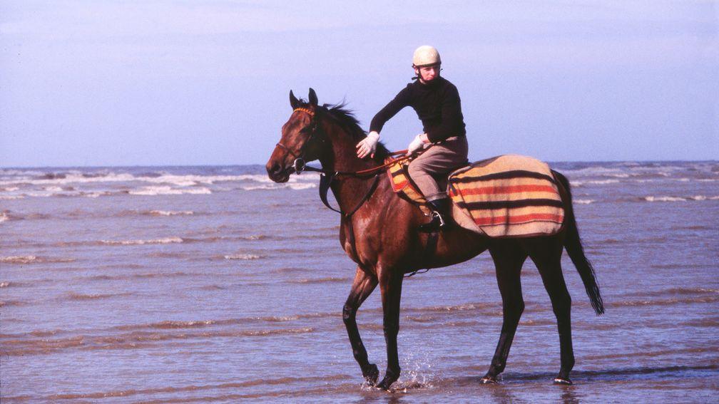Red Rum: was second in 1975 and 1976 when carrying top weight