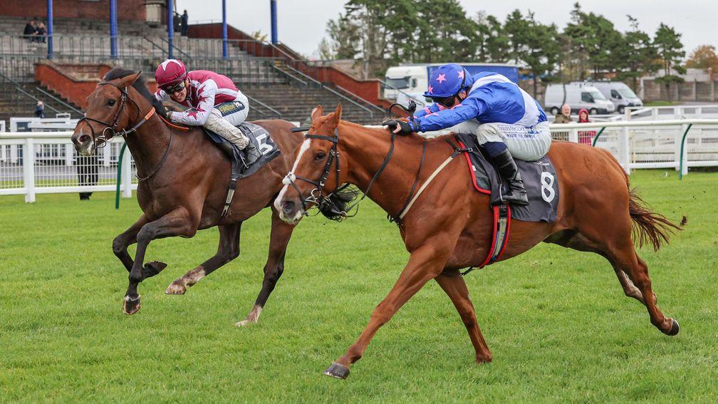 Havana Go (right) fights back to make it 3-3 at Ayr this season under Andrew Mullen