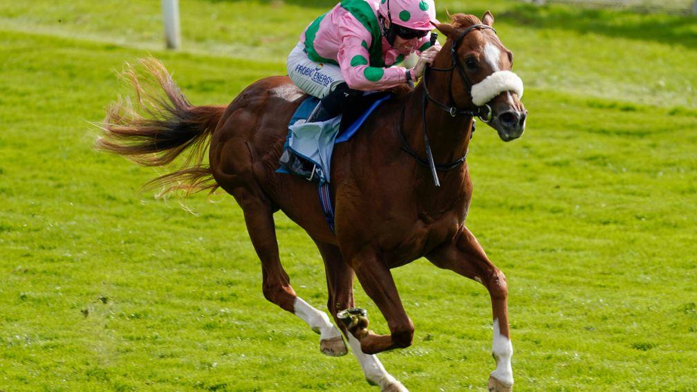 Mon Na Slieve in winning action at York