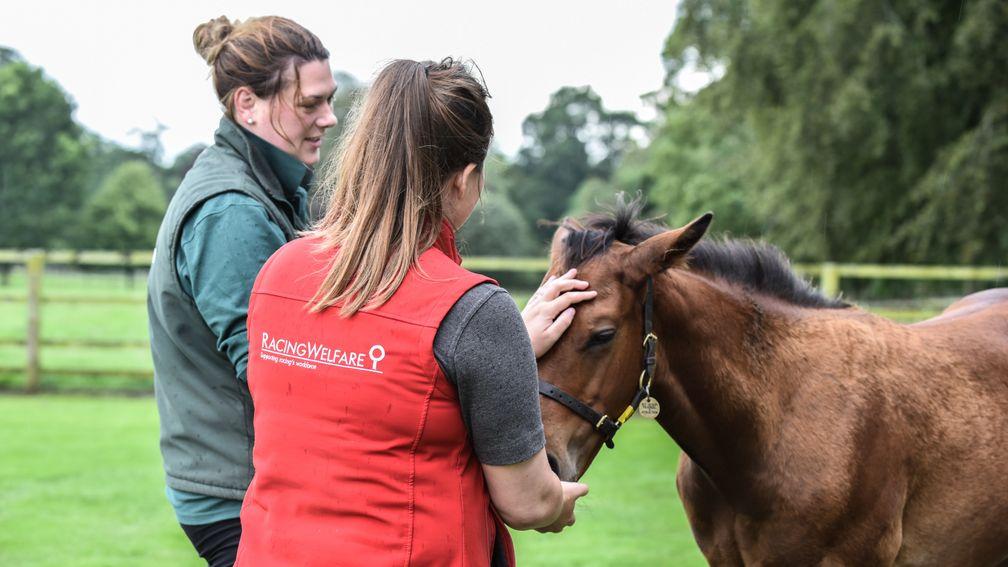 Racing Welfare: services have been in high demand during the coronavirus pandemic