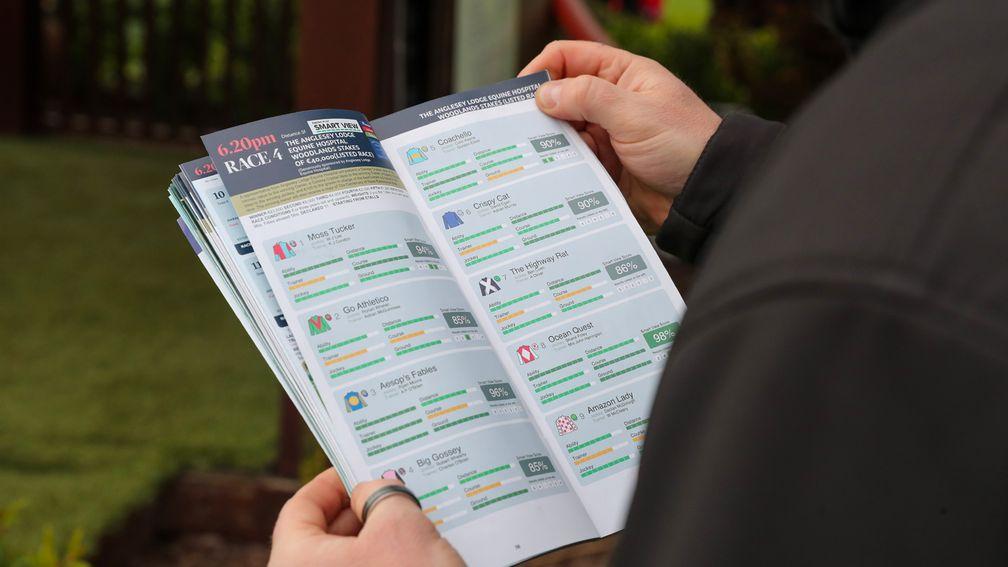 Smart View appeared in the racecard at Naas last month






