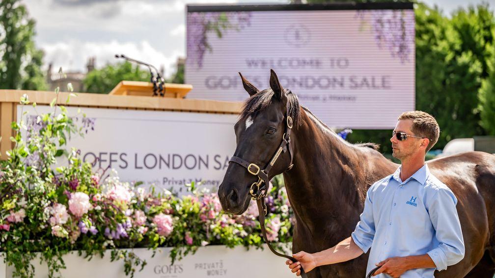 Racing Post Bloodstock among brand partners for tenth edition of the Goffs London Sale