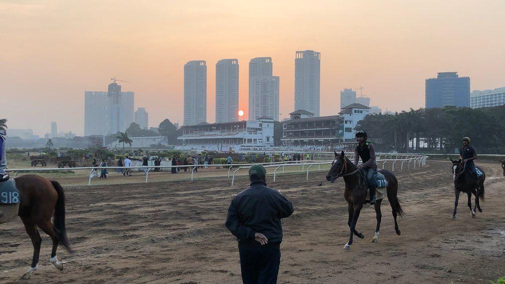 Trackwork takes place at Malahaxmi racecourse against the Mumbai skyline