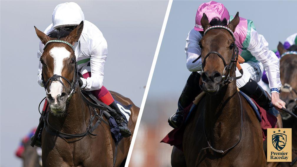 Free Wind (left) and Bluestocking clash in the Middleton Stakes