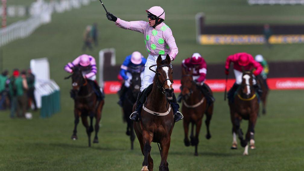Second festival win: Vautour trounced his rivals, who included Valseur Lido and Ptit Zig, in the JLT Chase in 2015