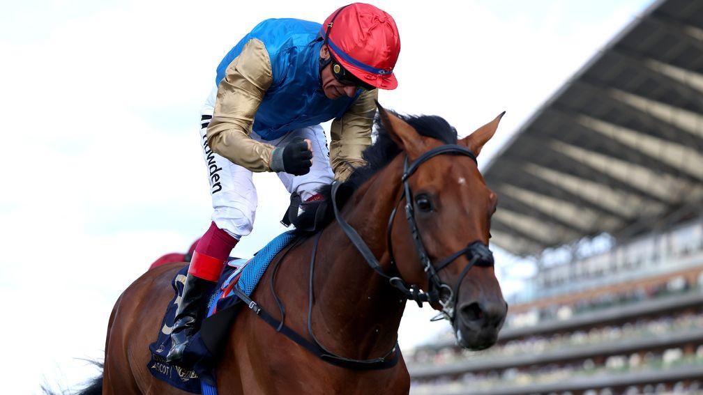 Gregory: won last year's Queen's Vase at Royal Ascot