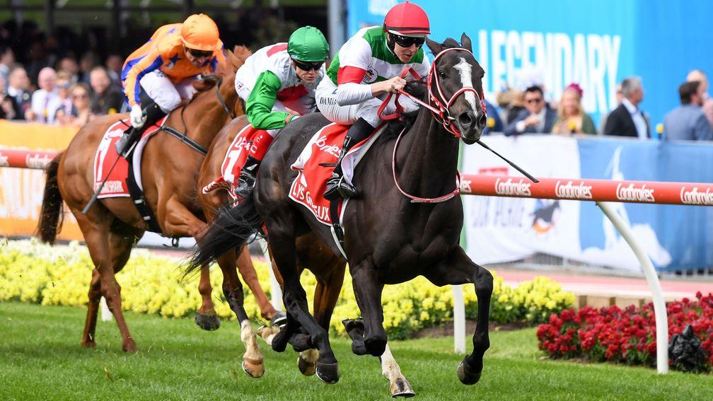 Lys Gracieux: daughter of Heart's Cry won the 2019 Cox Plate