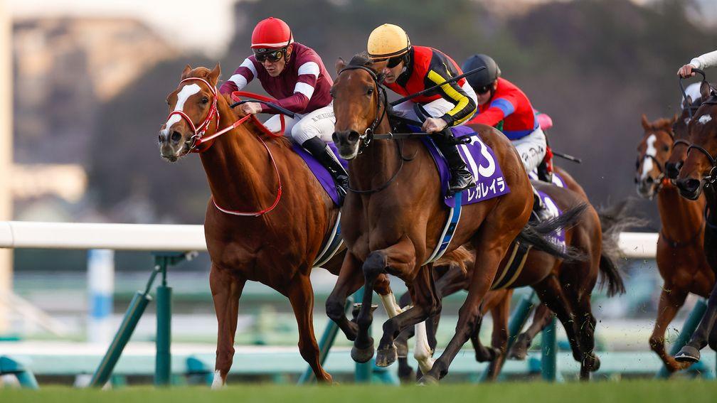 Regaleira and Shin Emperor go stride for stride in the Hopeful Stakes