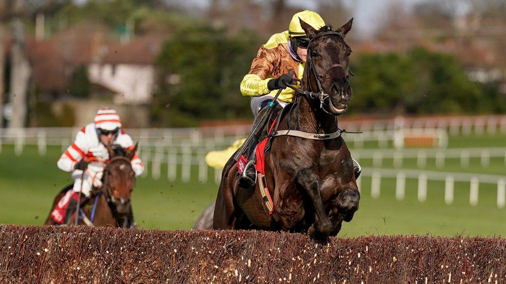 Galopin Des Champs could take on Bob Olinger in the Turners Novices' Chase, but those clashes have become all too rare at the festival