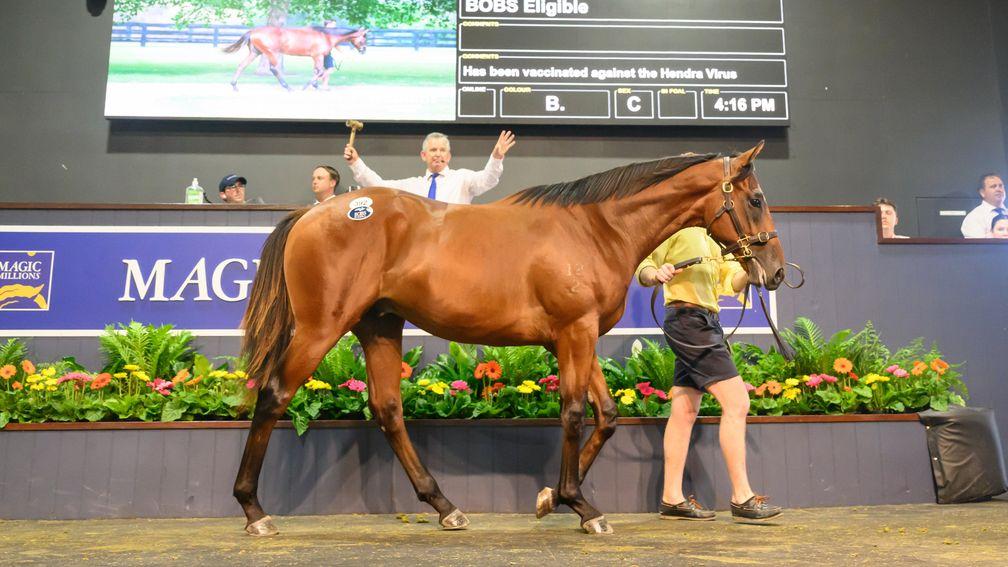 Fairway Thoroughbreds' Too Darn Hot colt topped Magic Millions trade at A$1.9 million when selling to Ciaron Maher