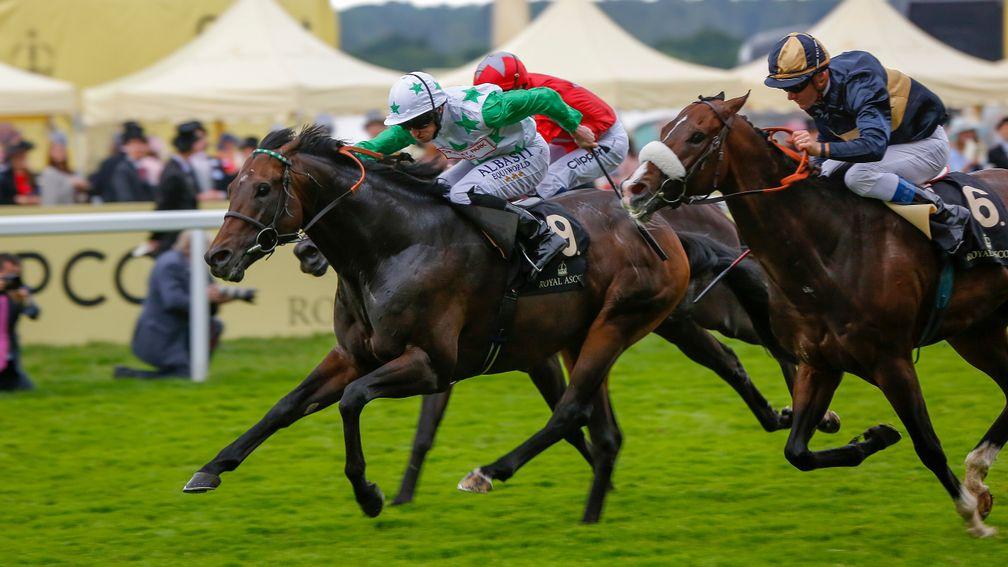 Signs Of Blessing (number 6, nearside) just ran out of stamina in last season's Diamond Jubilee over 6f at Ascot