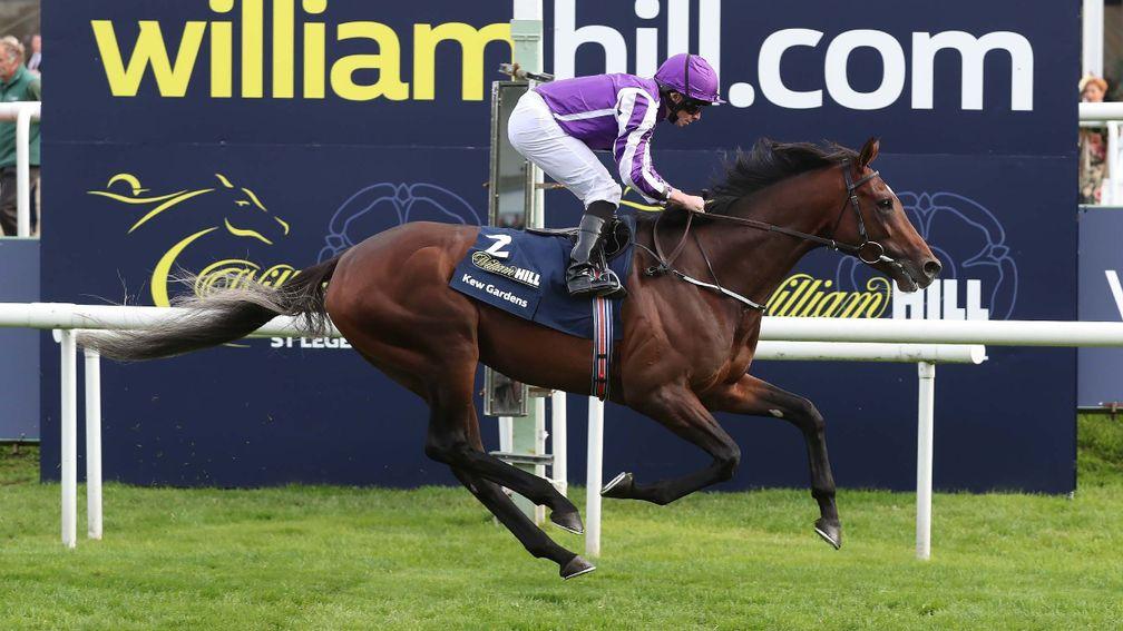 Kew Gardens: model of consistency apart from his one run at Epsom