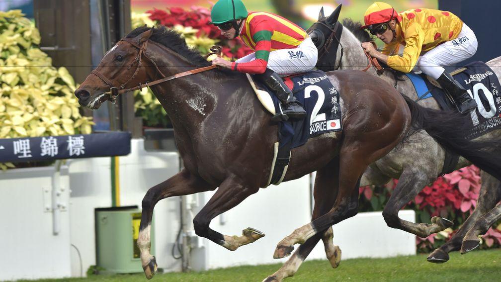 Ryan Moore goes for another Hong Kong win on 2015 Japanese Horse of the Year Maurice