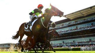 'I'm going to pass out' - elation for local jockey in Sydney as Think About It lands world's richest turf race worth A$20m