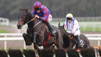 Jungle Prose bids for five-timer in fiercely competitive staying handicap hurdle