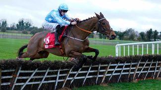 Find out the star names entered at next month's Dublin Racing Festival