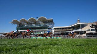 Guineas meeting set to start on good to firm ground but showers possible