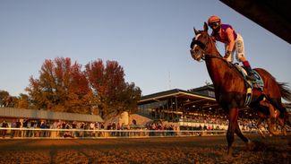Spendthrift and MyRacehorse galloping ahead into international expansion