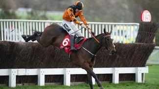 De Bromhead ramps up the excitement as Kettle aims for Champion Chase glory