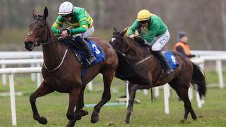 Limerick: 'She's a fine, imposing mare and there's lots to like about her' - Bioluminescence shines for Gavin Cromwell before big week