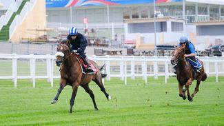 Deira Mile stretches out in style on Derby gallops morning to belie 66-1 Epsom odds