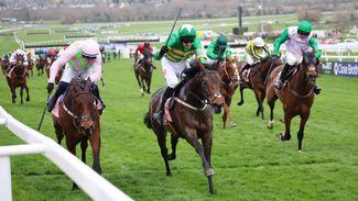 'He's in top form' - Padraig Roche ready to go with Cheltenham Festival winner