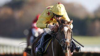 Smart chase prospect Compadre can prove to be the punters' pal