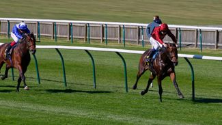 Book 1 updates keep on coming as Kick On wins hot Newmarket maiden