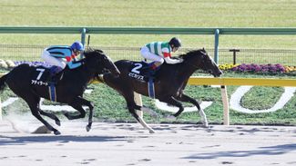 Gold Dream strikes on big February day in Tokyo