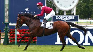 Performance metrics: Champion Stakes is the perfect fit for this colt