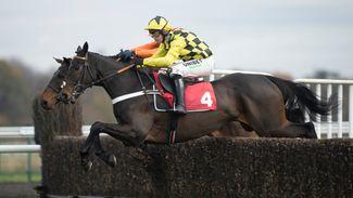 This year's novice chase superstars are unprecedented - but are any vulnerable?