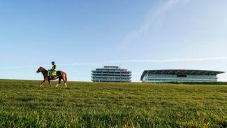 BHA extends suspension of racing in Britain with no date set for sport's return