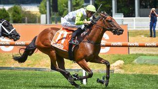 Miss Roseiano set for Justify after Coolmore go to A$1.275 million at Inglis