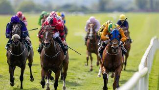 3.00 Curragh: 'He's improving with every run' - trainer quotes and analysis for the rapid Rockingham Handicap