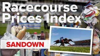 The Racecourse Prices Index: how much for a burger and a pint at Sandown?